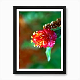 Flower 4 1 Art Print