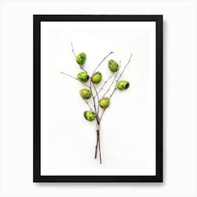 Green Eggs On A Branch Art Print