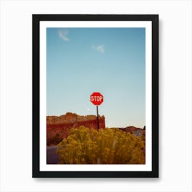 New Mexico Road Trip on Film Art Print