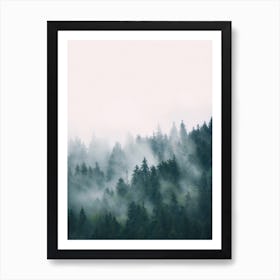 Fog And Forest Art Print