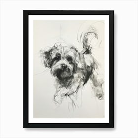 Lowchen Dog Charcoal Line 2 Art Print