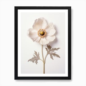 Pressed Flower Botanical Art Anemone 1 Art Print