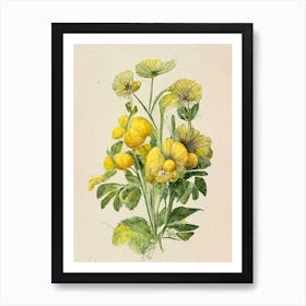 Yellow Flowers Farmhouse Botanical Vintage Art Print