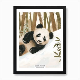 Giant Panda Cub Sliding Down A Snowy Hill Poster 3 Art Print