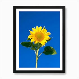 Sunflower Against A Blue Sky Art Print