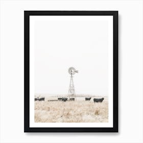 Black Angus Cows Art Print