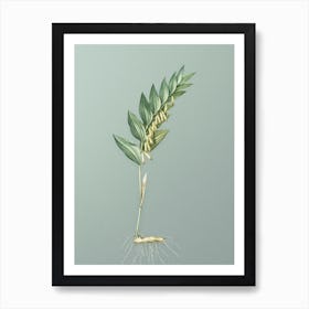 Vintage Angular Solomon's Seal Botanical Art on Mint Green n.0166 Art Print