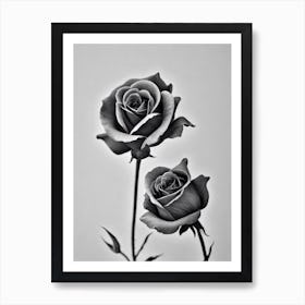 Rose B&W Pencil 2 Flower Art Print