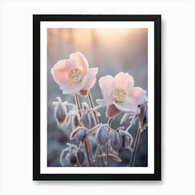 Frosty Botanical Christmas Rose 3 Art Print