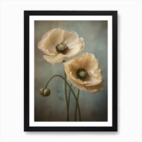 Poppies 32 Art Print