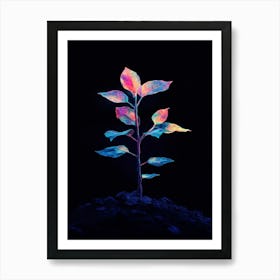 Rainbow Plant 12 Art Print