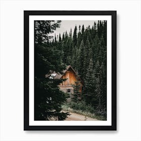 Cabin In Pine Forest Affiche