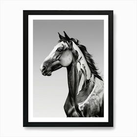 Horse With Feathers Art Print