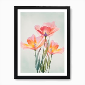 Bird Of Paradise Flowers Acrylic Pastel Colours 2 Art Print