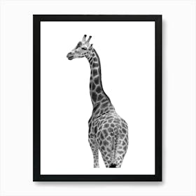 Giraffe Bum Bathroom Print Art Print