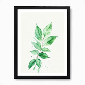 Peppermint Leaf Minimalist Watercolour 2 Art Print