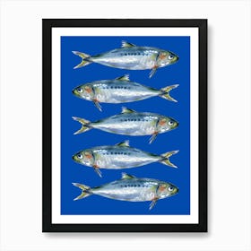 Sardines On A Blue Background Art Print