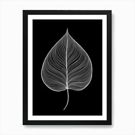 Leaf On A Black Background Art Print