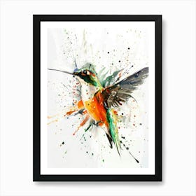 Hummingbird 11 Art Print