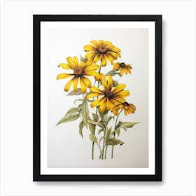 Black Eyed Susans Flower Vintage Botanical 3 Art Print