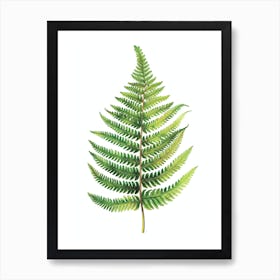 Pattern Poster Hares Foot Fern 2 Art Print