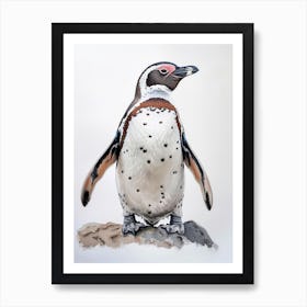 Humboldt Penguin Saunders Island Watercolour Painting 2 Art Print
