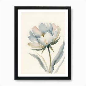 Peony 18 Art Print