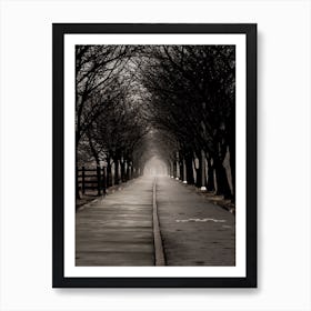 Path Through The Trees Art Print