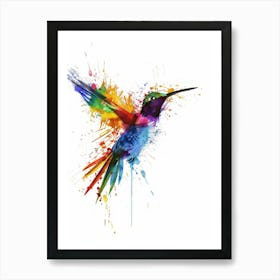 Colorful Hummingbird Art Print