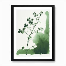 Green Ink Painting Of A Mountain Spleenwort 1 Art Print