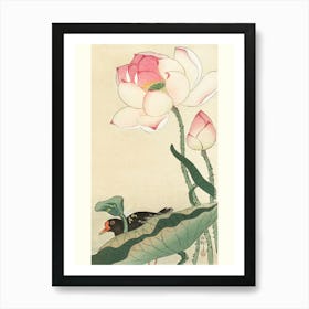 Gallinule With Lotus Flowers (1900 1930), Ohara Koson Art Print