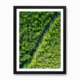 Aerial View Captures The Canopy Of A Lush Green Forest In The Throes Of Spring New Leaves Unfurling (6) Art Print