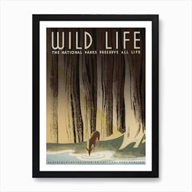 National Parks Vintage Poster Art Print