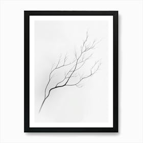 Bare Branches Art Print