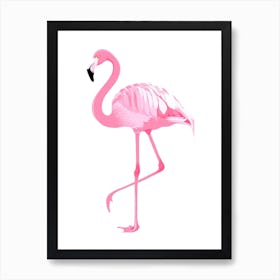 Pink Flamingo Art Print