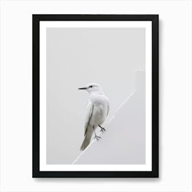 White Bird Perched On Wall Art Print