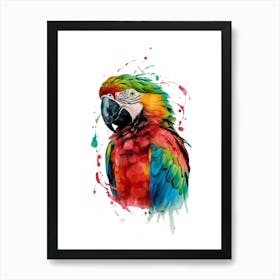 Colorful Parrot Art Print