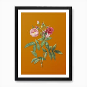 Vintage Hudson Rose Botanical on Sunset Orange Art Print