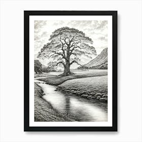 highly detailed pencil sketch of oak tree next to stream, mountain background 1 Art Print