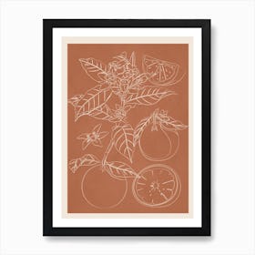 Oranges Line Art Art Print