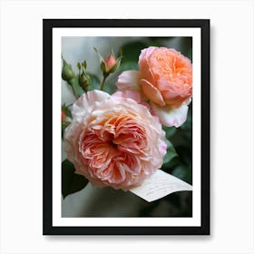 English Roses Painting Romantic 3 Art Print