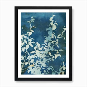 Evening Blooms Art Print