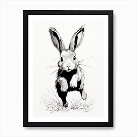 Rabbit Prints Ink Drawing Black And White 7 Art Print