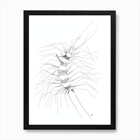 Minimalist Scolopendra white black abstract nature sketch minimal line ink drawing  Art Print