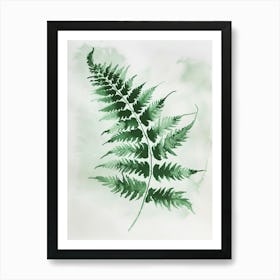 Green Ink Painting Of A Autumn Fern 3 Art Print