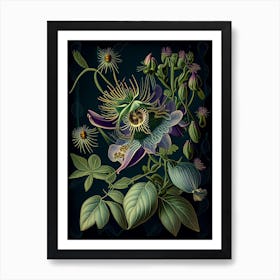 Passion Flower 2 Floral Botanical Vintage Poster Flower Art Print