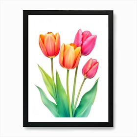 Tulips 3 Art Print