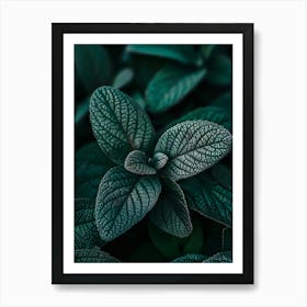 Dark Green Leaves Art Print