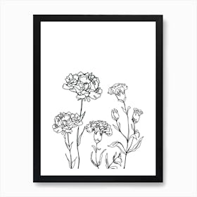 Carnation Drawing Art Print