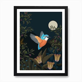 Kingfisher Bird At Night Art Print